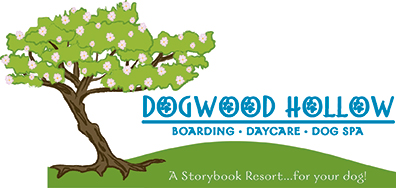 Dogwood Hollow, Dog Boarding, DayCare, Dog Spa